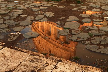 Colosseum Exclusive Guided Tour - Professional Guide 