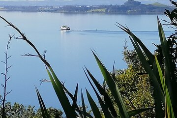 Full Day Tour of Waitomo Glowworm Caves and Rotoruas Te Puia