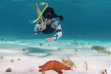 Isla Mujeres Catamaran & Cozumel in 2 days from Playa del Carmen