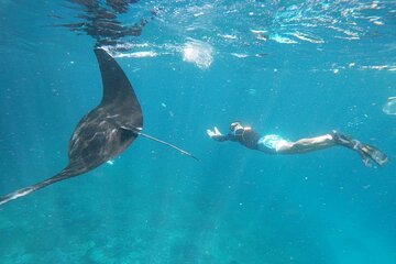 Bali Private Snorkeling (Manta, Gamat, Wall) and Nusa Penida Tour