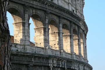 Colosseum Arena Floor, Palatine Hill and Roman Forum Guided Tour