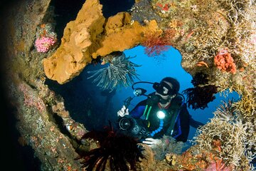 Day Trip for certified divers - 2 or 3 Dives in Tulamben (pick up in South Bali)