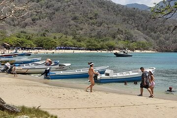 Shell Bay Tour