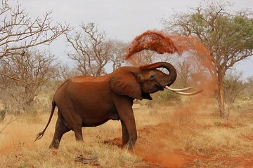 Private Tour: A full day Aquila Safari the big 5 Game Drive