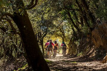 Guided Tour in E-mountainbike in Empordà