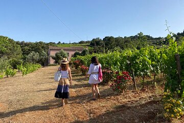 Winery tour and tasting with the winemaker in Elba Island