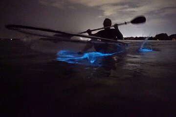 Clear Kayak Bioluminescence Tour