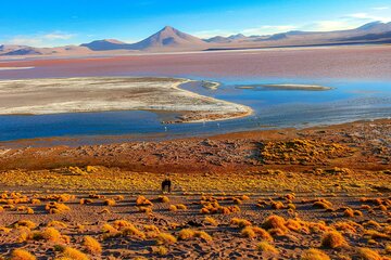 Uyuni Salt Flats _ 3 Days/2Nights _ Shared Tour_English Speaking Guide