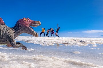 Uyuni Salt Flats _ Full Day _ English Speaking Guide