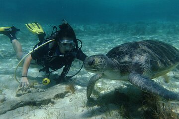 SCUBA DIVING first time experience