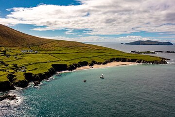 Dingle Dolphin Blasket Adventures