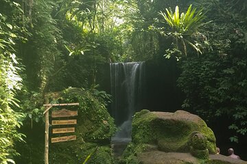 amazing waterfall tour with half day