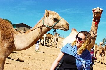 Private Daraw Camel Market Half-Day Tour from Aswan