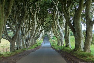 Full-Day Private Tour of Giants Causeway with Pick Up