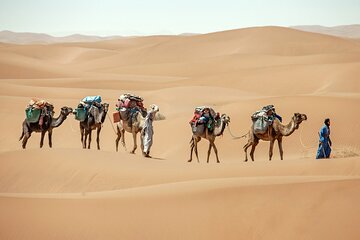 3-Days Private Trekking Tour in Morocco Desert with Pick Up