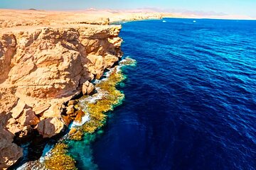 Ras Mohammed From Sharm El Sheikh by a private car