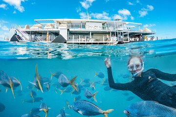 Great Barrier Reef Day Cruise to Reefworld