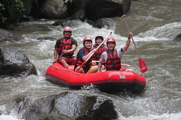 Rafting at Ayung River(Include Return Hotel Transportation)