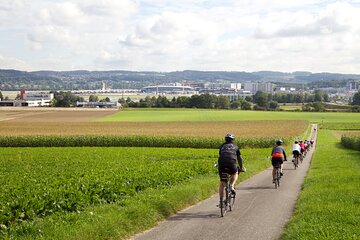 11-Day Private Lite Tour Across Switzerland by Bike from Geneve