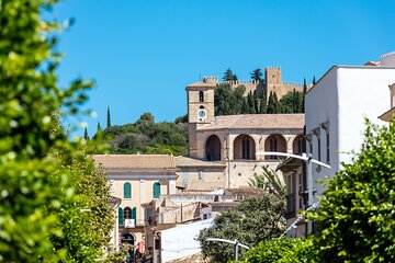 Eastern Majorca Tour with Arta Caves and Aloe Plantation