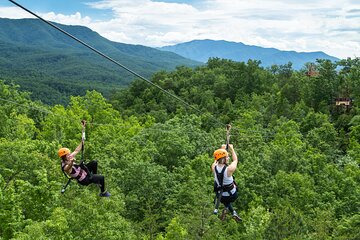 Mountaintop Zipline 2-Hours Activity