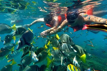Half-Day Snorkel Experience and Party Catamaran in Los Cabos! + Round Trip