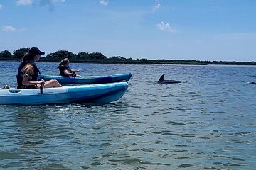 Deluxe Dolphin Kayak Tour