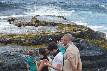 Big Island Southside ATV Tours