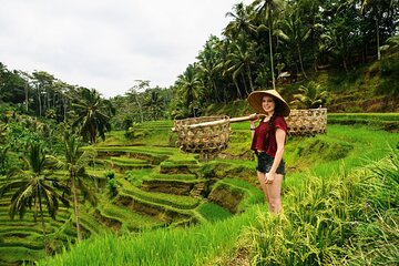 Monkey Forest, Temple, Waterfall, Rice Terrace & Art Villages