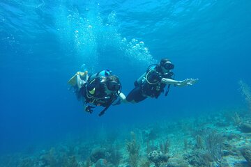 Half-Day Dive Tour in San Andres Island (CERTIFIED DIVERS ONLY)