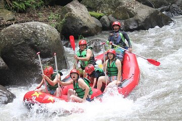 Ayung Rafting and Combination Ubud Tour Packages