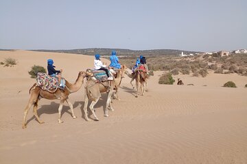 Essaouira Private Camel Ride (1 Hour).