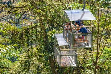 Veragua Rainforest Walk, Tram & Tortuguero Boat Tour. Limon Shore Excursion