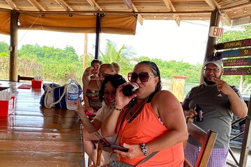 Customized Bar Hopping Tours From Montego Bay Resorts