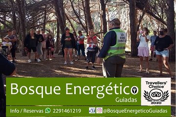 Energetic Forest: guided tour