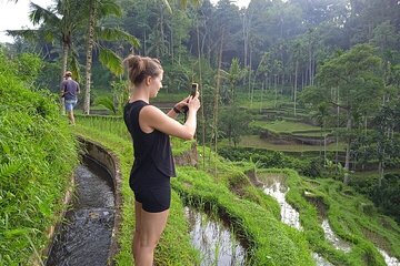 Best of Ubud - Ubud Tour Popular - All Inclusive