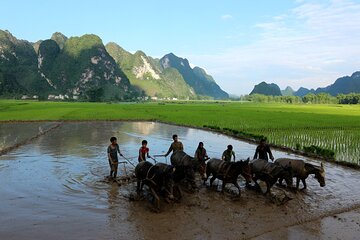 4 Days Private Tour to Cao Bang from Hanoi