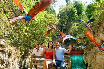 All-inclusive Xcaret Park with Transportation from Cancun & Playa Del Carmen
