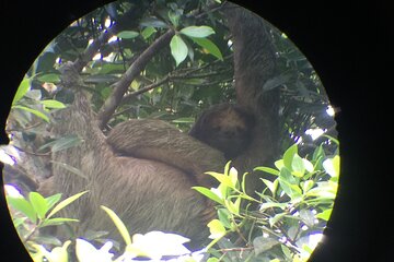 Combo Floating tour+ waterfall swimming+ Sloth hiking Eco-farm