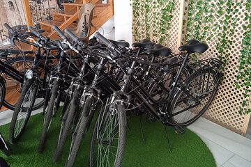 Full Day Bike Rental in Seville