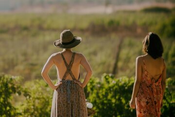 Private Santa Ynez Valley Wine Tasting Tour for up to 4 guests