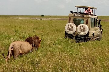 5 Day Adventure Camping Safari to Serengeti, Ngorongoro crater & Tarangire