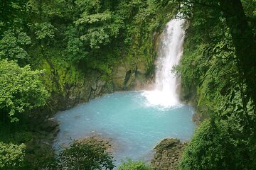 Rio Celeste Waterfall and Sloth Sactuary Private Full-Day Tour with Lunch