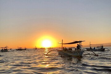 Lovina Sunrise Dolphin & Waterfall Tour