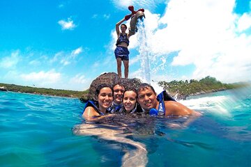 Xel-Ha Tour All Inclusive from Playa del Carmen & Tulum