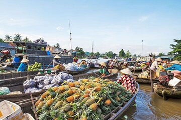 Cai Rang Floating Market - Mekong Delta 2 Days - VIP Private Tour