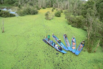 2-Day Tour to Mekong Delta-Gieng Island-Tram Chim Birds National Park