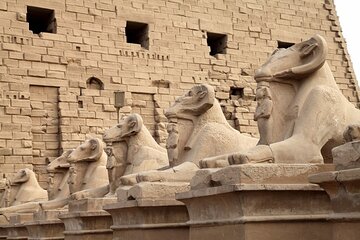 Half Day East Bank Tour to Luxor and Karnak Temples (Private)