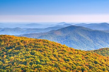 Half-Day Wine Tastings in the North Georgia Mountains 