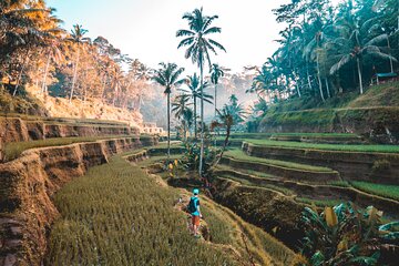 Ubud Kintamani Private Tours